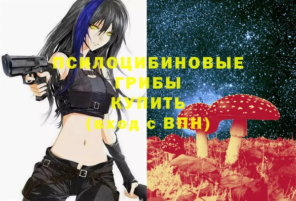 дурь Верхний Тагил