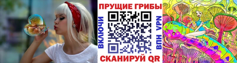 Галлюциногенные грибы Psilocybe  купить наркотик  Новосокольники 
